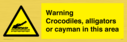 warning-crocodiles-alligators-or-cayman-in-this-area~
