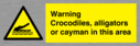 warning-crocodiles-alligators-or-cayman-in-this-area~