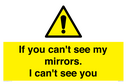if-you-cant-see-my-mirrors-i-cant-see-you~