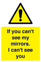 if-you-cant-see-my-mirrors-i-cant-see-you~