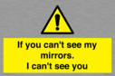 if-you-cant-see-my-mirrors-i-cant-see-you~