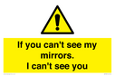 if-you-cant-see-my-mirrors-i-cant-see-you~