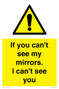 if-you-cant-see-my-mirrors-i-cant-see-you~