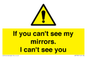 if-you-cant-see-my-mirrors-i-cant-see-you~