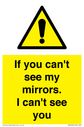 if-you-cant-see-my-mirrors-i-cant-see-you~