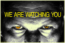 staring-eyes-and-the-message-we-are-watching-you-in-yellow-text~