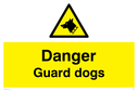 dog-head-in-warning-triangle~
