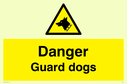 dog-head-in-warning-triangle~