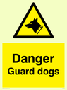 dog-head-in-warning-triangle~