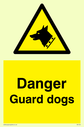 dog-head-in-warning-triangle~