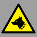 dog-head-in-warning-triangle~