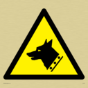 dog-head-in-warning-triangle~
