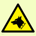 dog-head-in-warning-triangle~