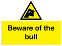 beware-of-the-bull~