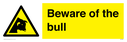beware-of-the-bull~