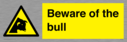 beware-of-the-bull~