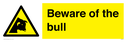 beware-of-the-bull~