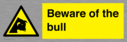 beware-of-the-bull~