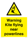 warning-kite-flying-near-powerlines~