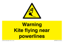 warning-kite-flying-near-powerlines~