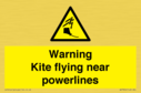 warning-kite-flying-near-powerlines~