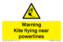 warning-kite-flying-near-powerlines~